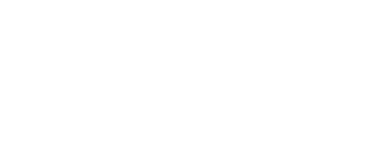 Miraculous Brothers Logo