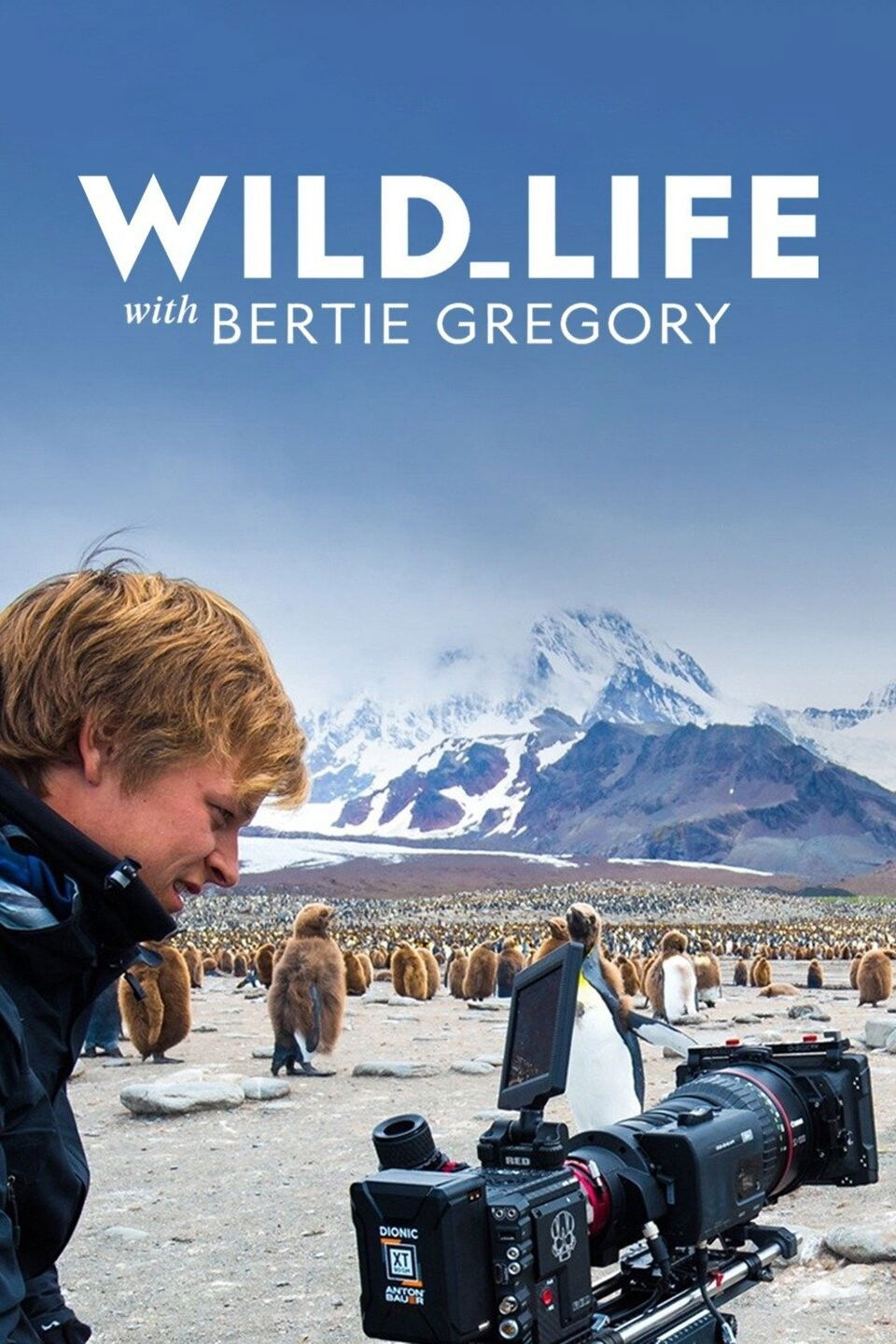Wild Life with Bertie Gregory - Season 1