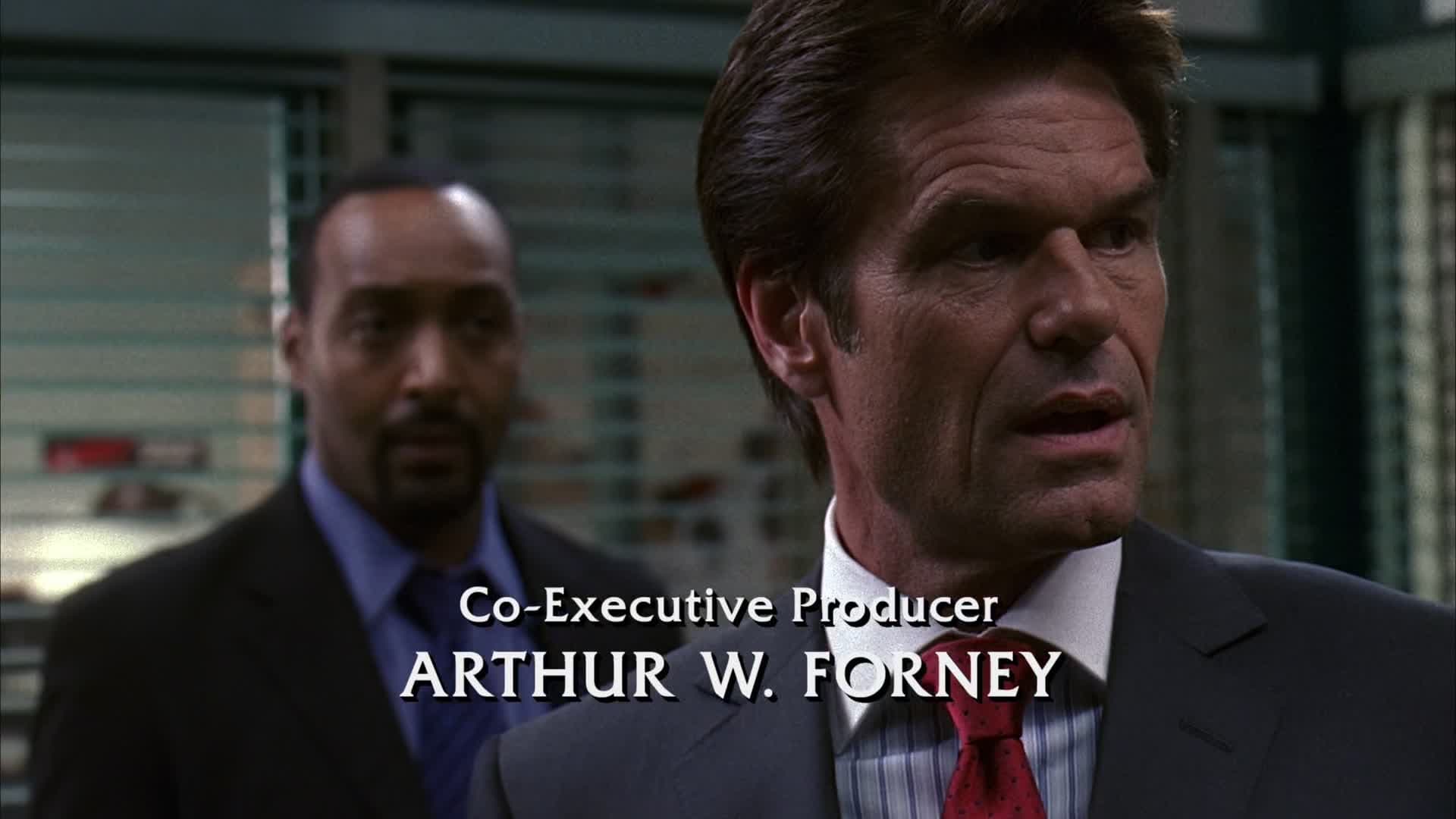 Law & Order Season 17 :Episode 22  The Family Hour