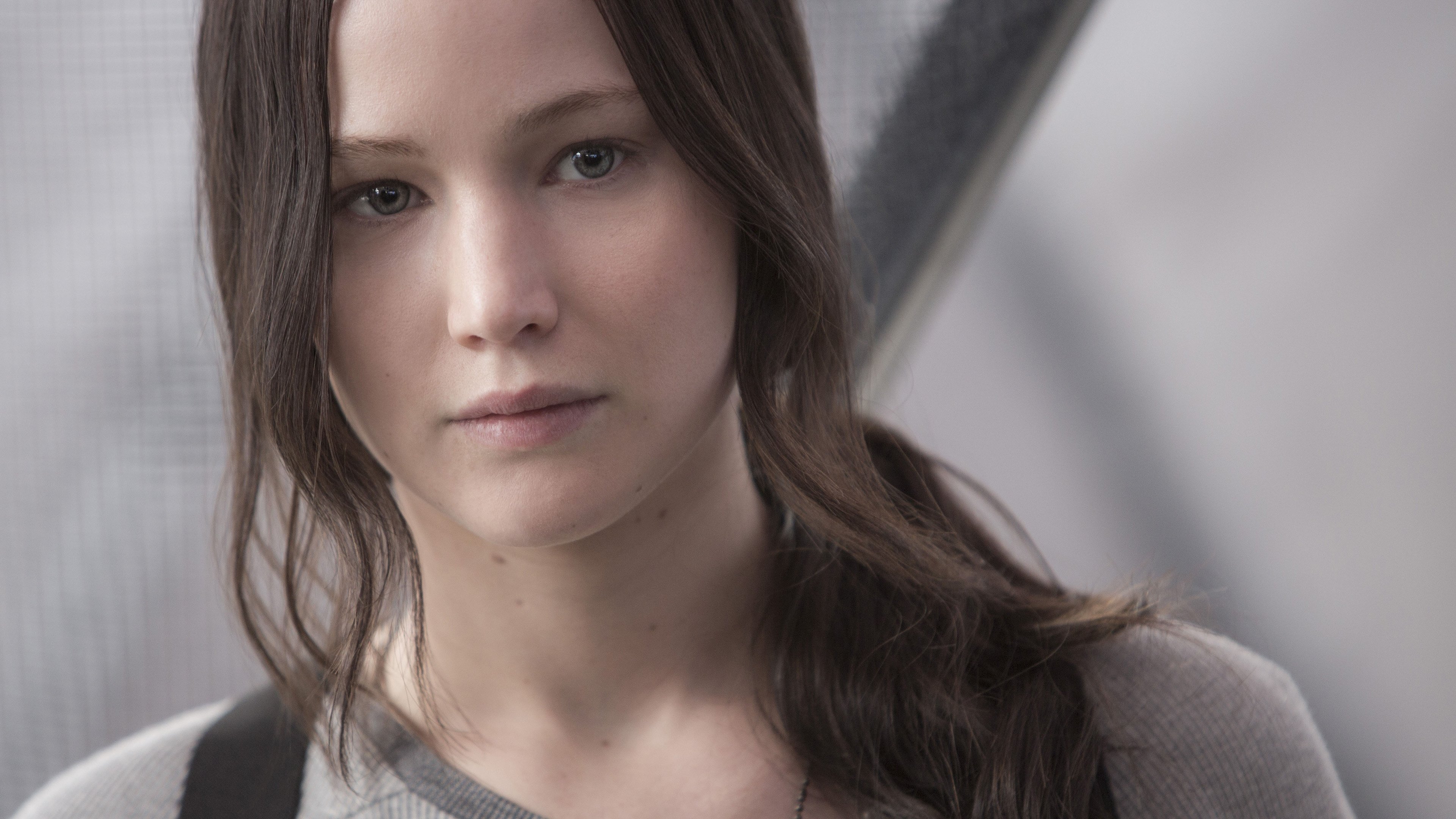 The Hunger Games: Mockingjay - Part 2 (2015)