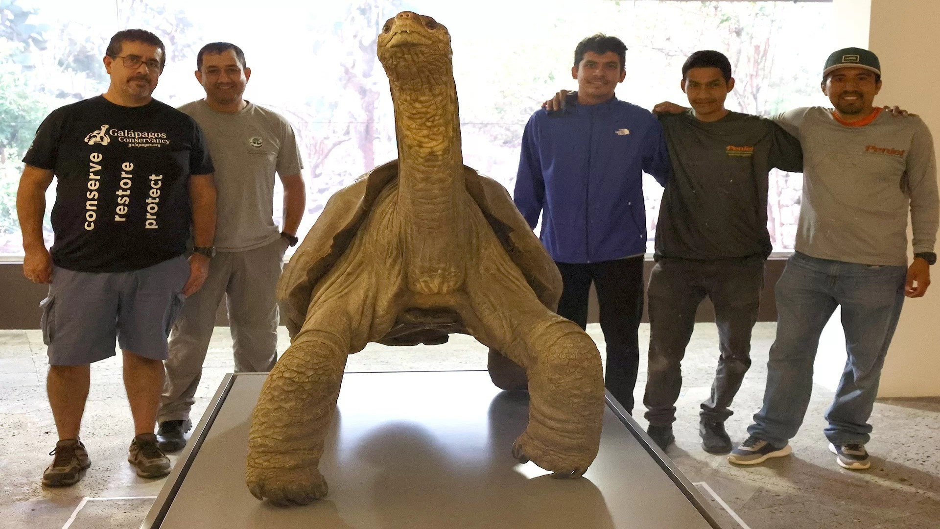 Lonesome George and the Battle for Galapagos