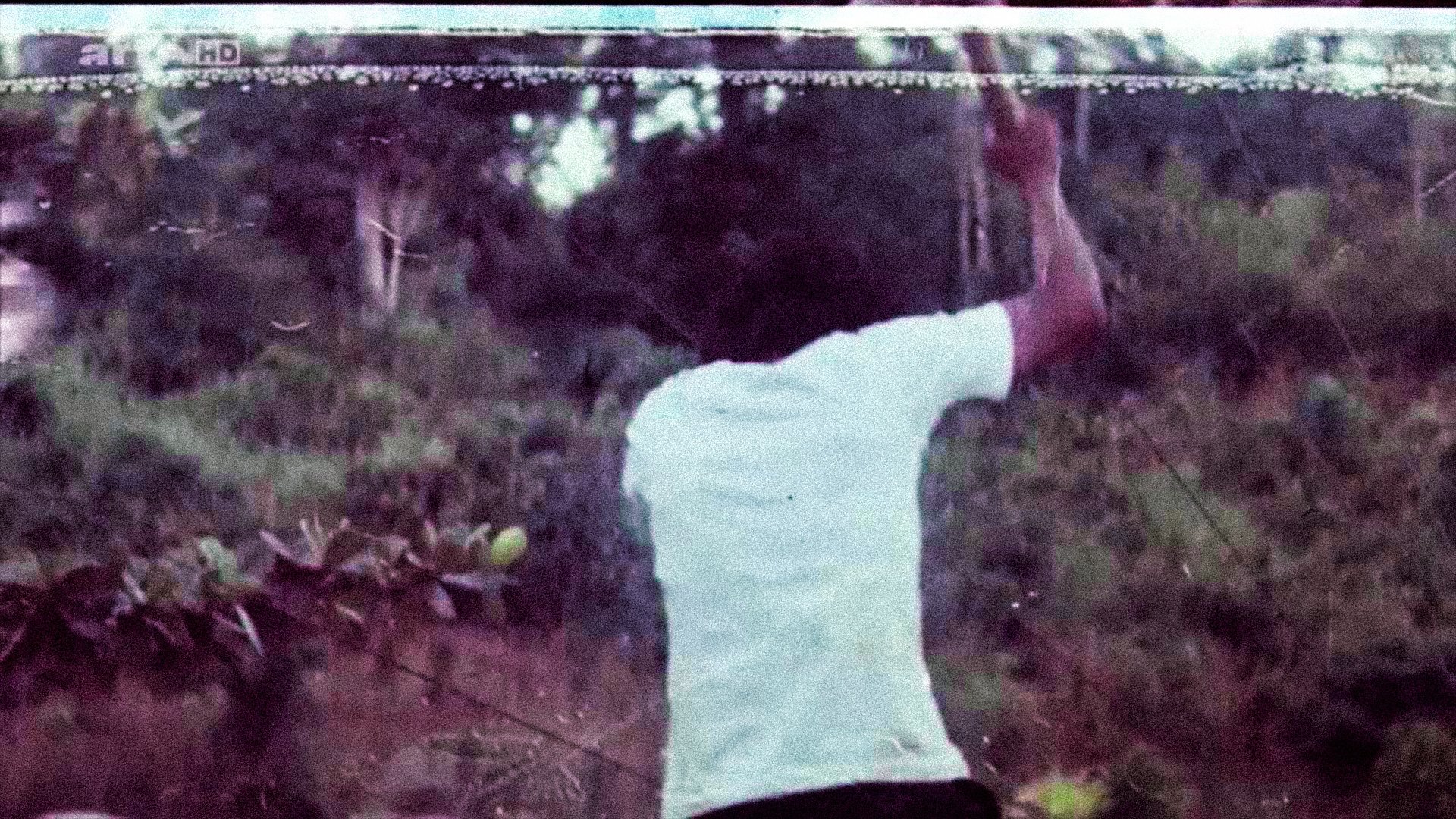 Cinema Perverso (2015)