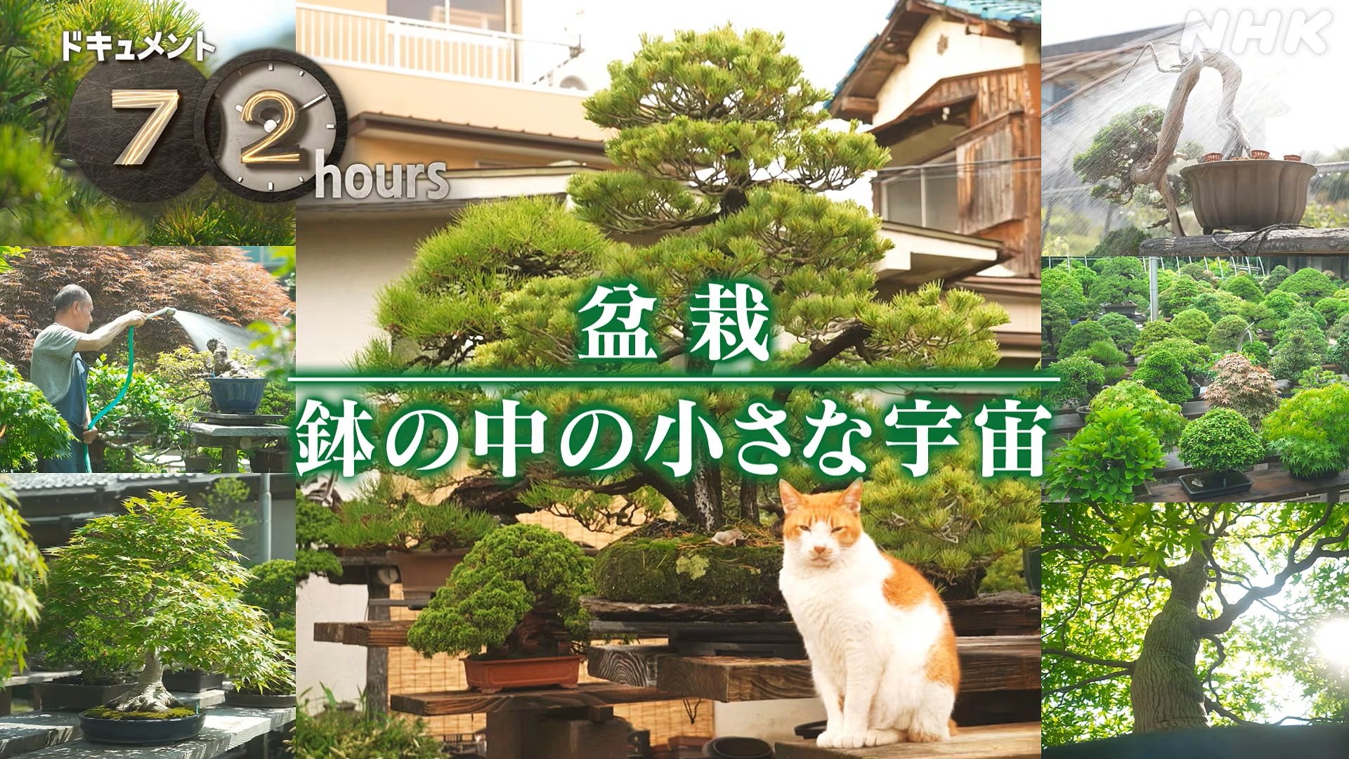 Episode 18