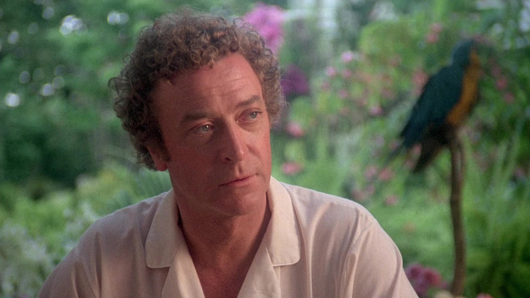 Blame It on Rio (1984)