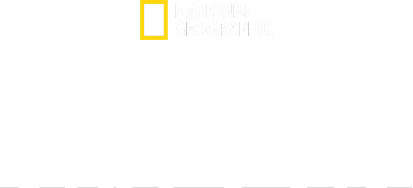 Expedition Amelia Logo