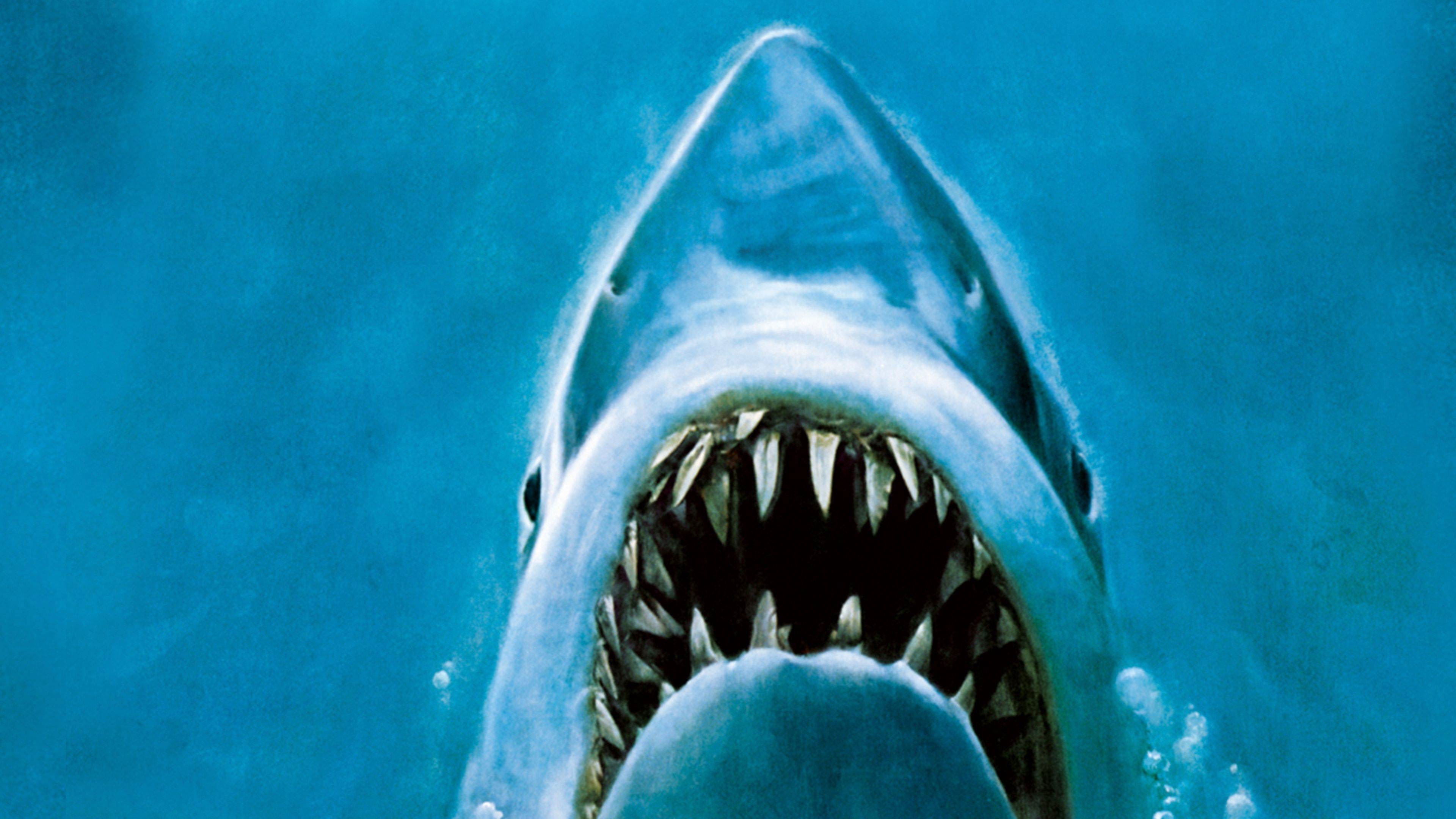 Poster: Jaws Poster: Jaws