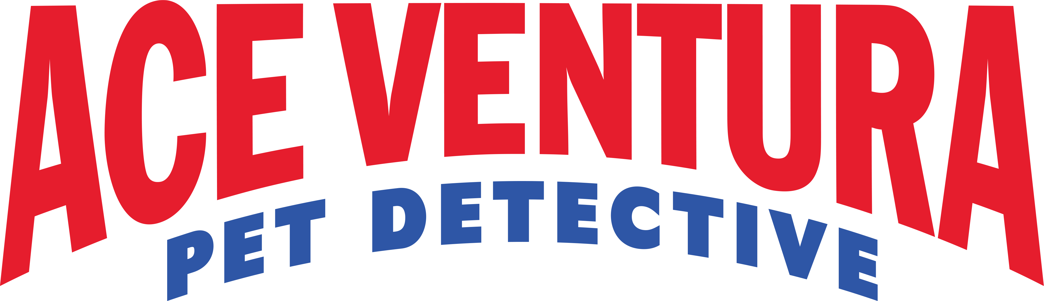 Ace Ventura: Pet Detective