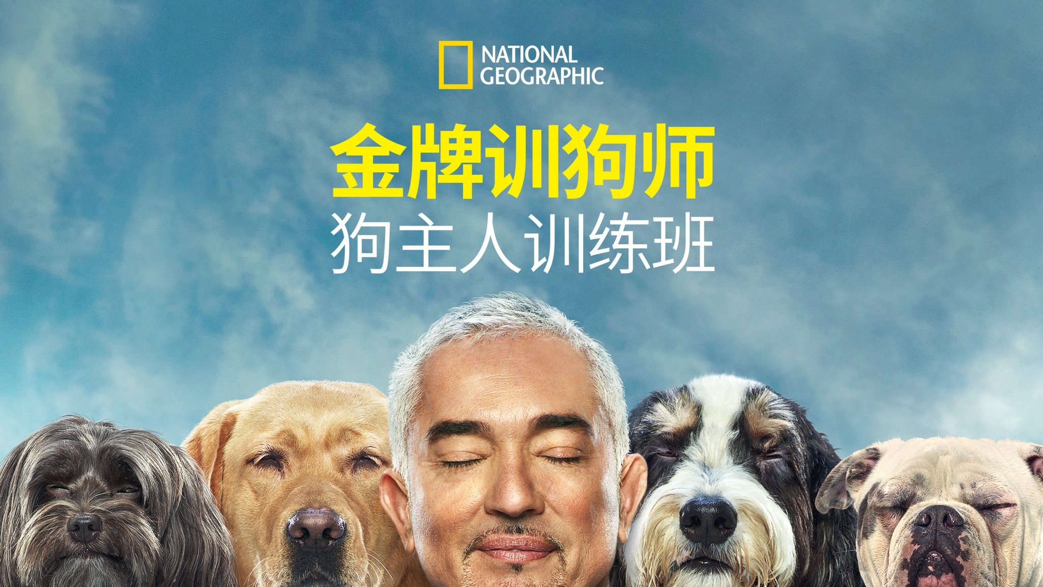 Cesar Millan: Better Human, Better Dog