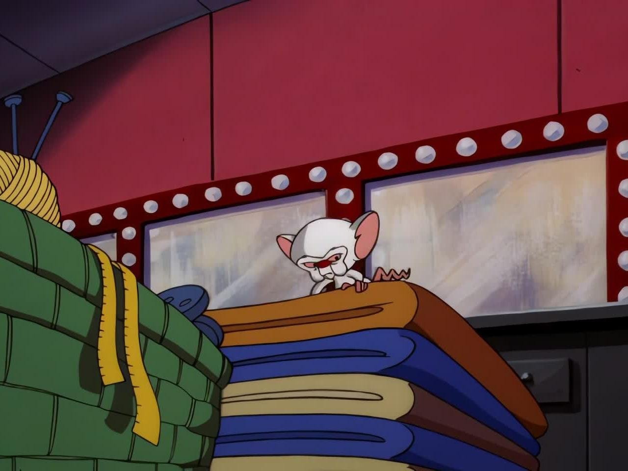 Pinky and the Brain