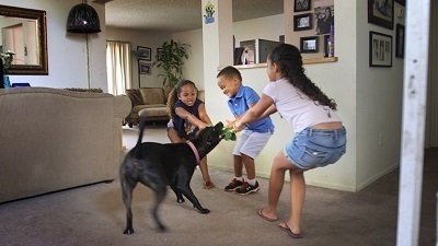 Episode 7