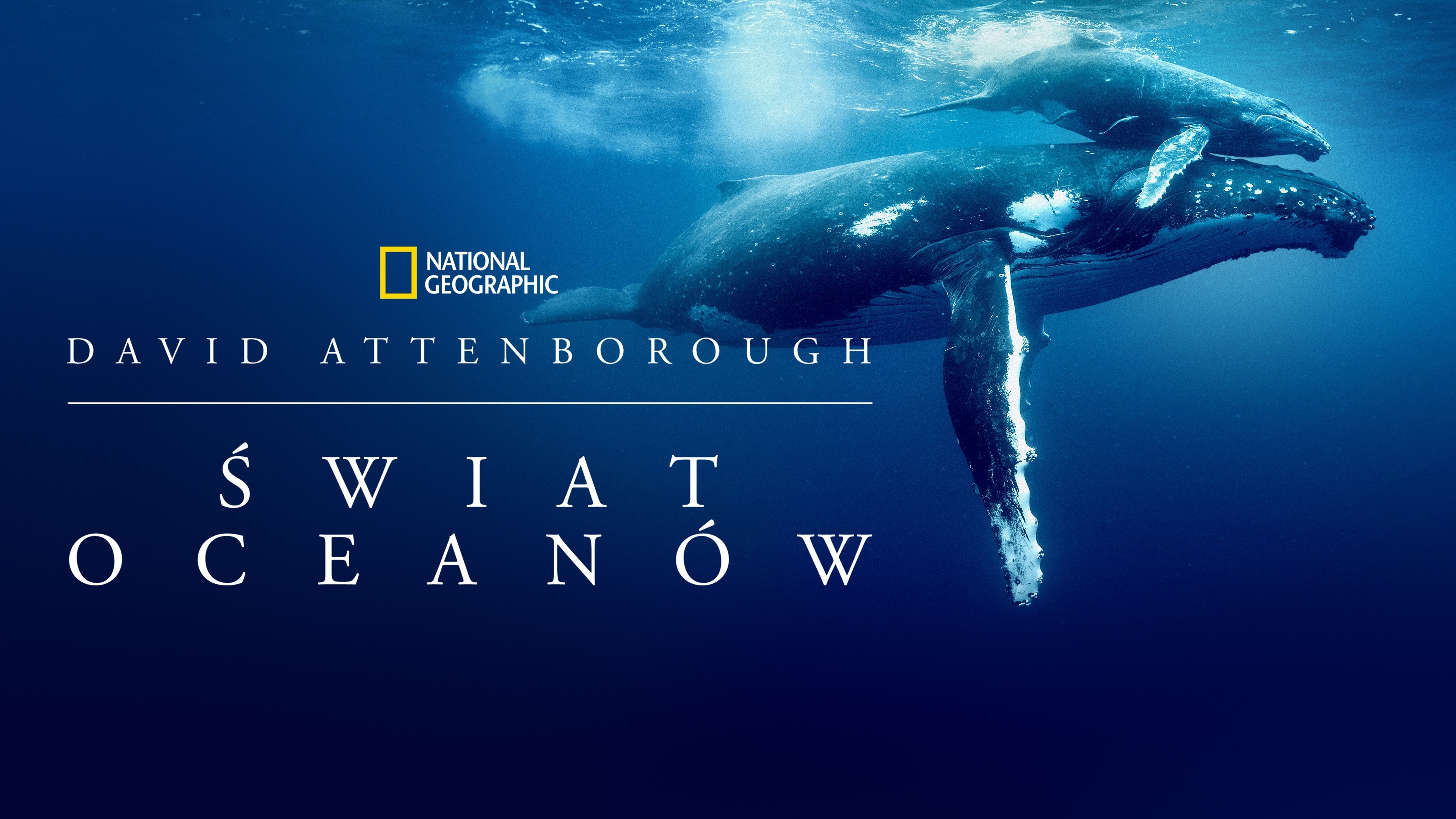 Ocean with David Attenborough backdrop
