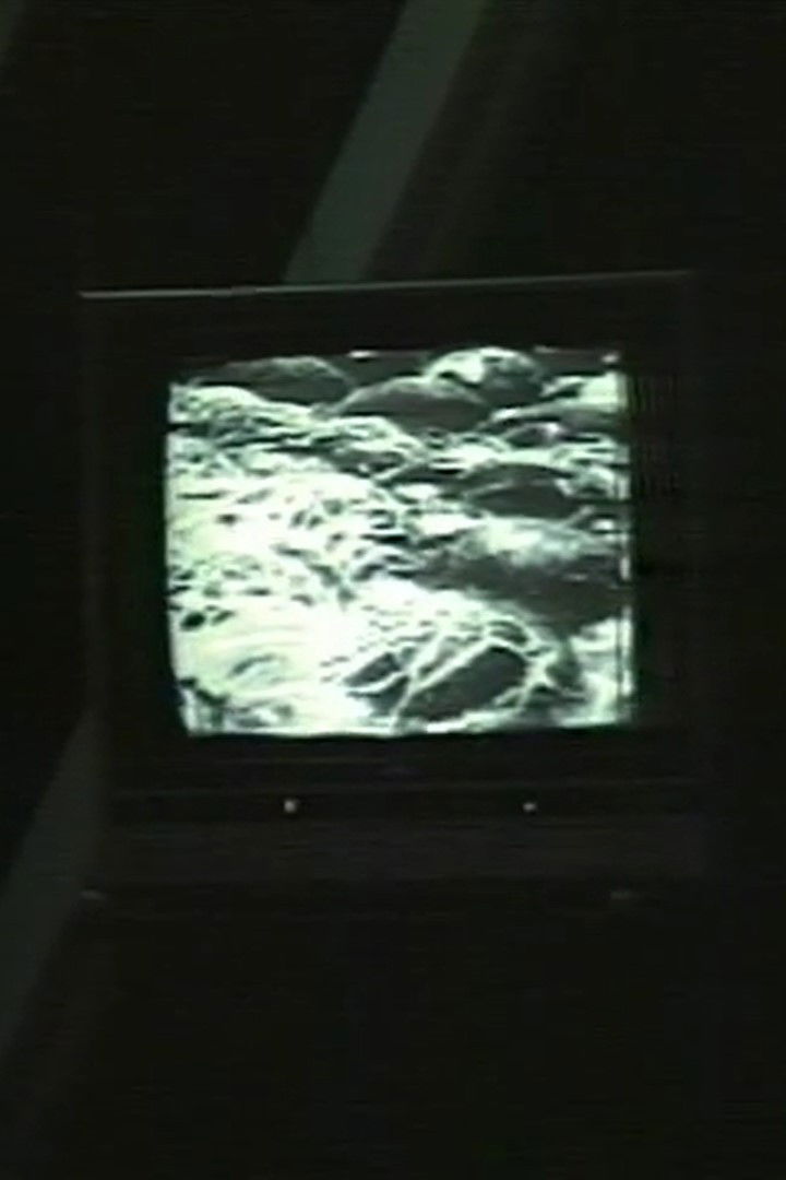 d/stabilize/d (1987) movie poster