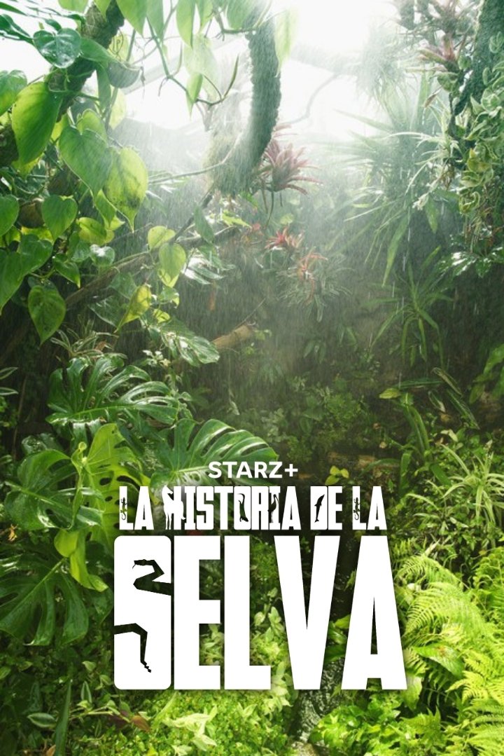 The History of the Jungle (2024) The Poster Database (TPDb)