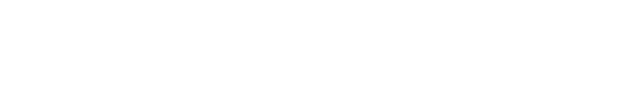 Zero Dark Thirty