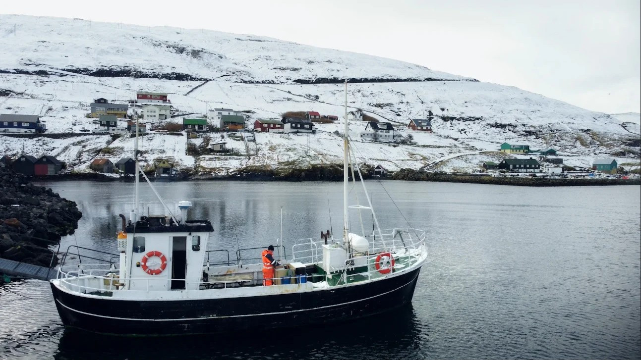 Bloody Tradition – Agree to Disagree