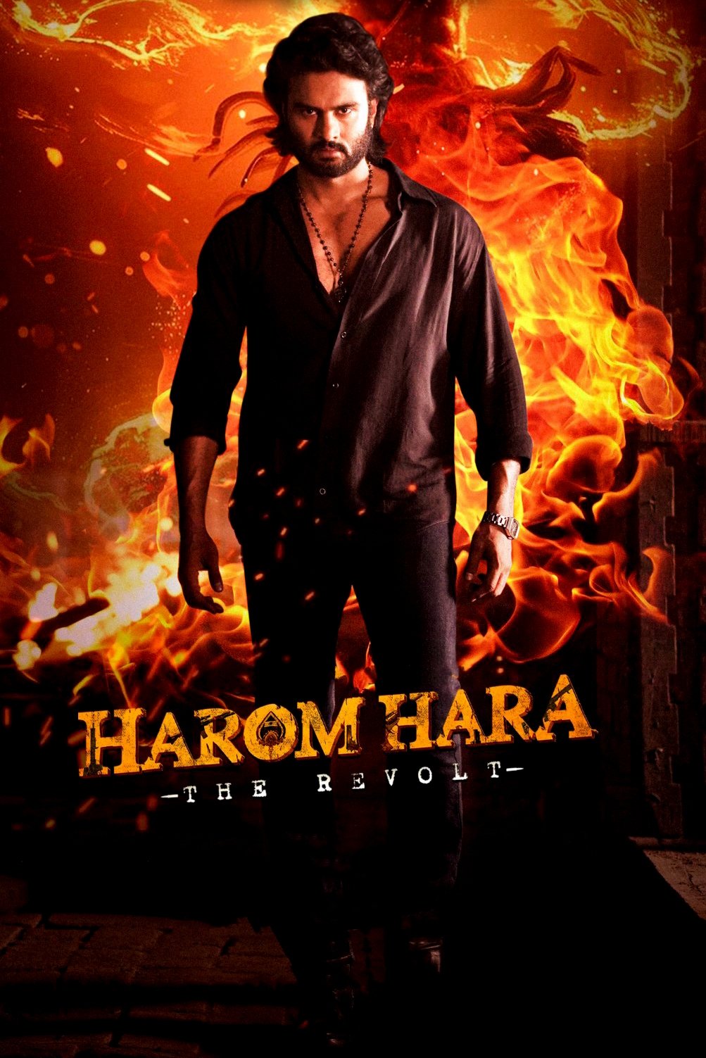 Harom Hara (2024) Posters — The Movie Database (TMDB)