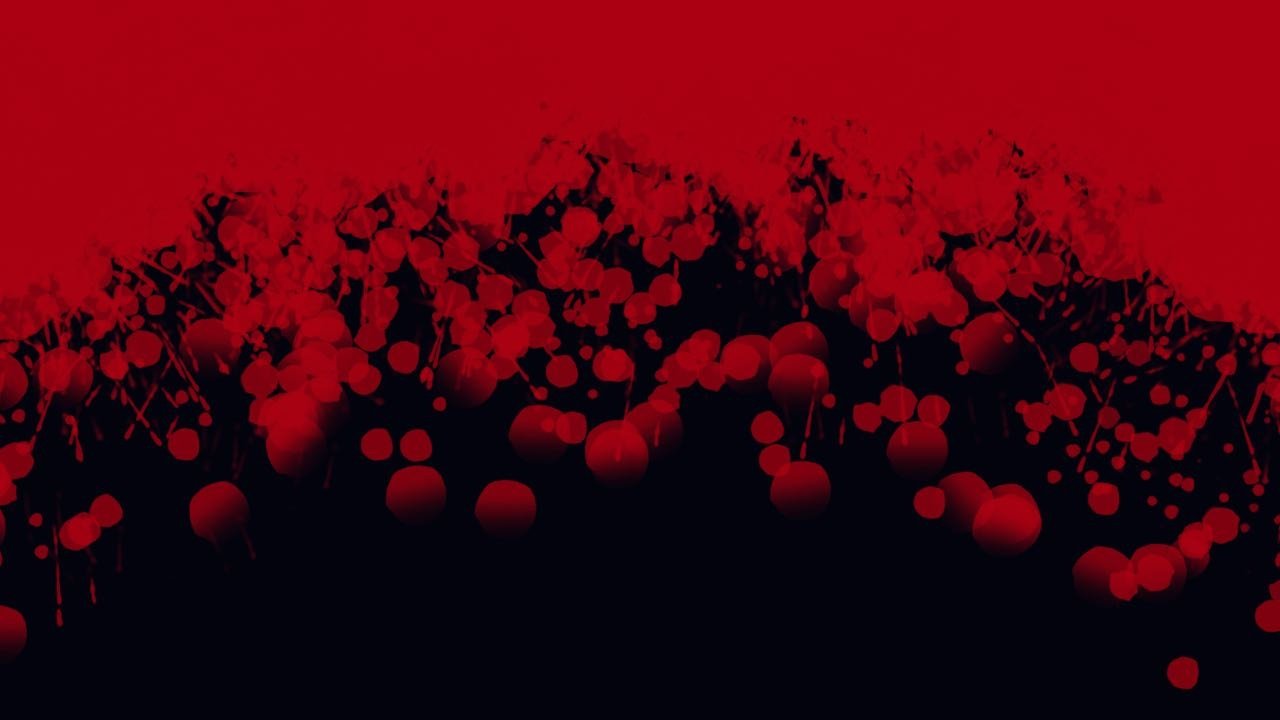 Lienzo de Sangre (2023)