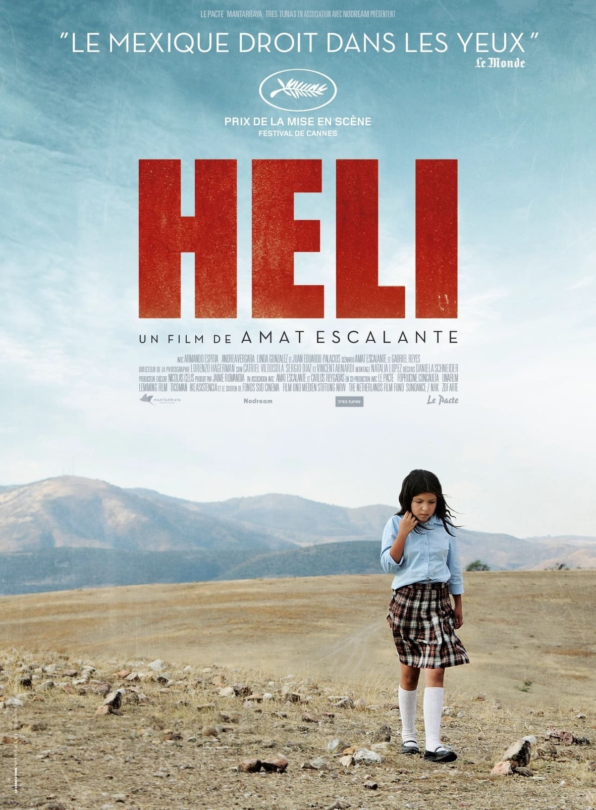 Affiche du film Heli 138442