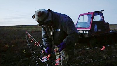 Life Below Zero