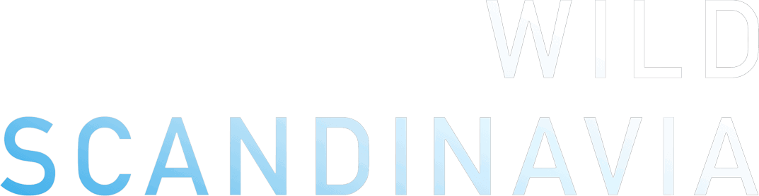 Wild Scandinavia Logo