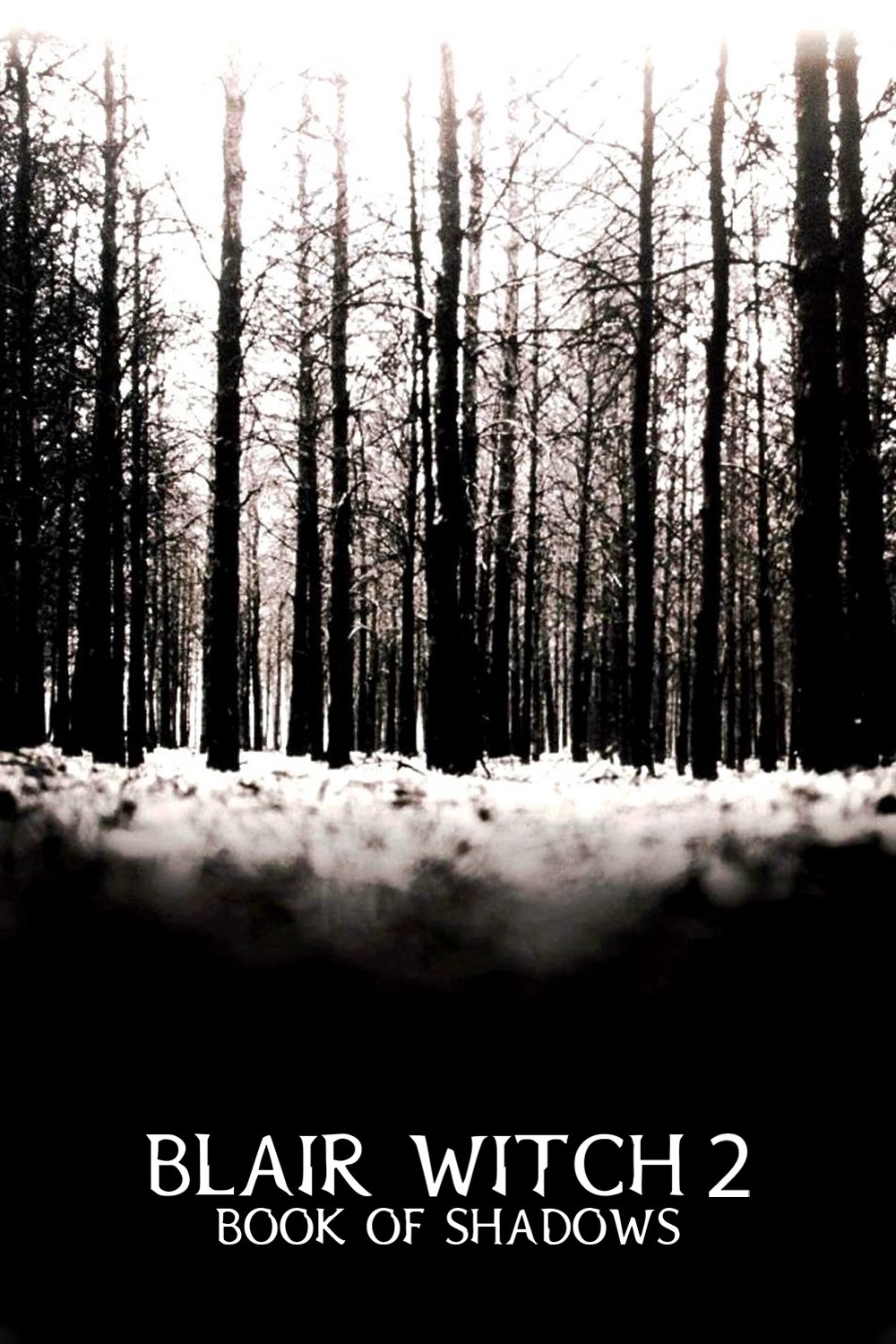 Book of Shadows: Blair Witch 2