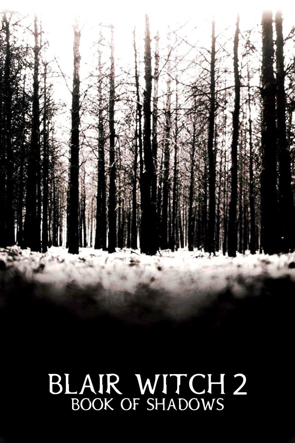 Book of Shadows: Blair Witch 2