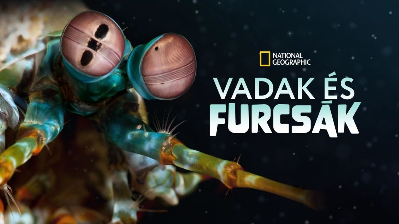 Ocean's Weirdest