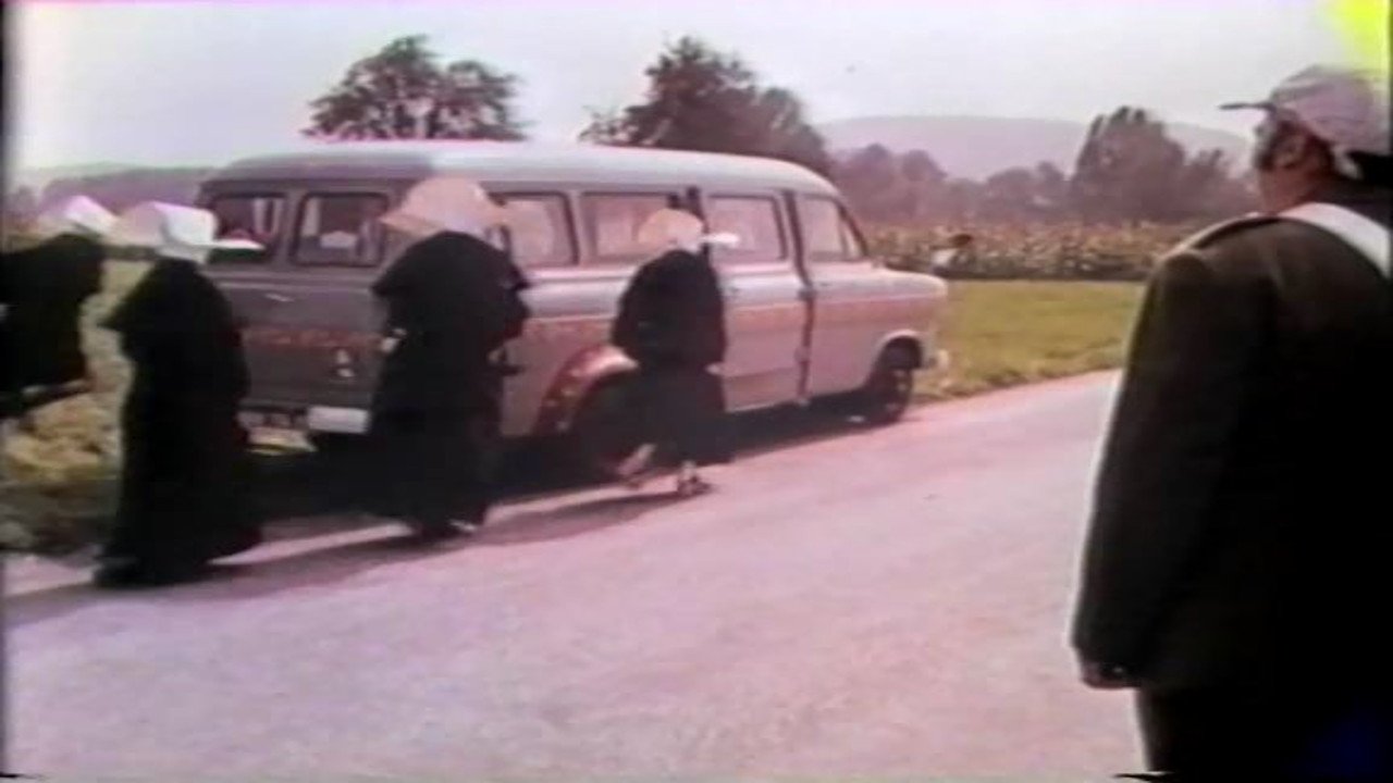 Sex Connection (1973)
