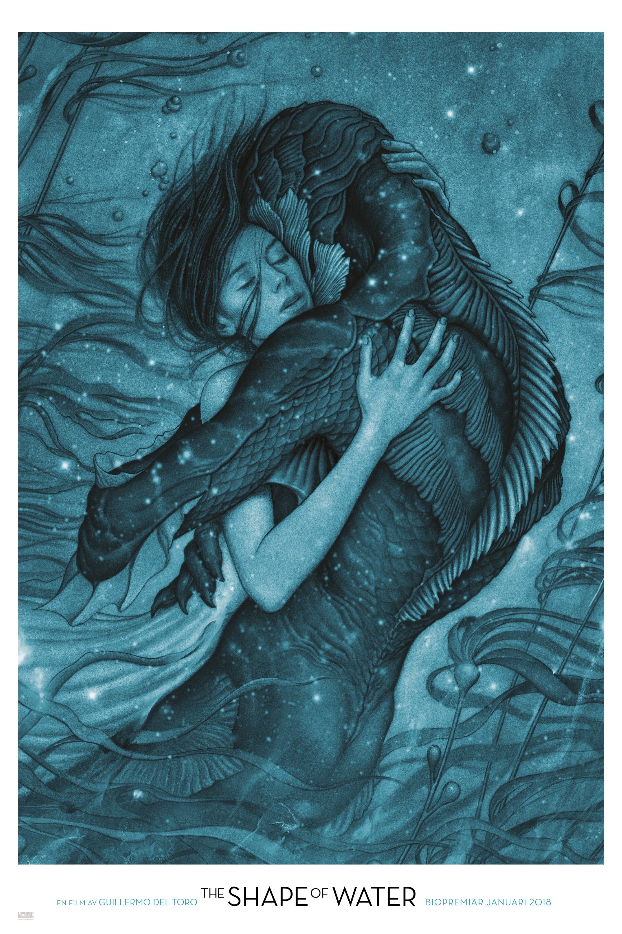 The Shape of Water