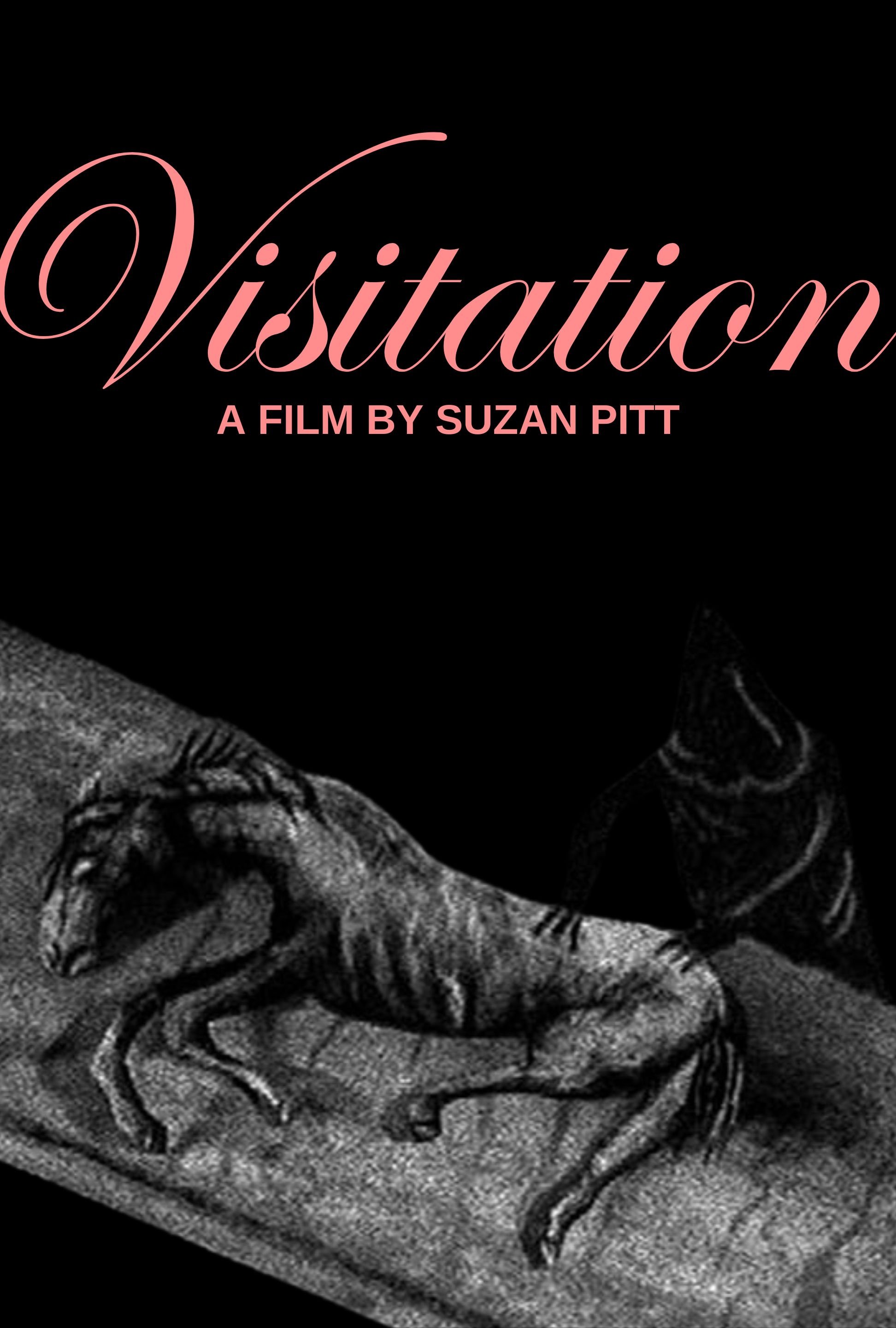 Visitation
