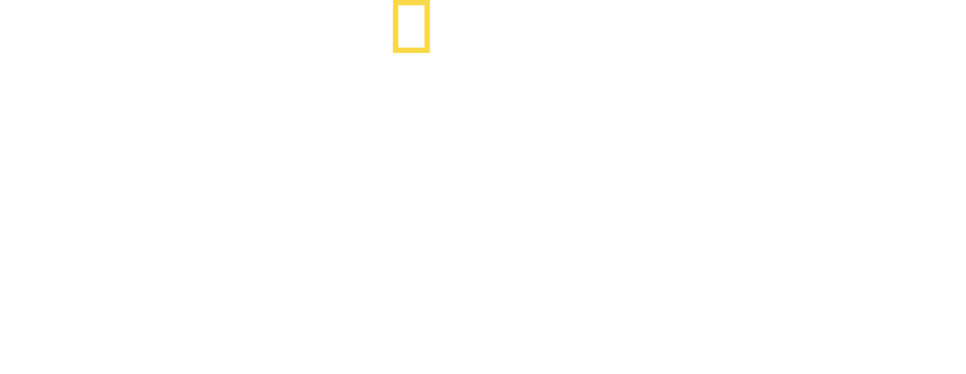 Savage Kingdom Logo