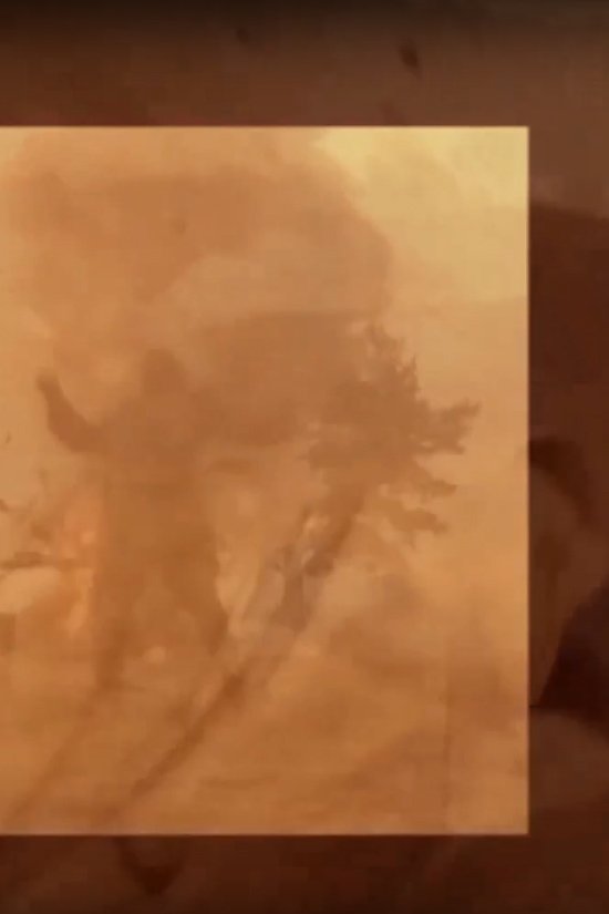 Flowers of Evil Poster