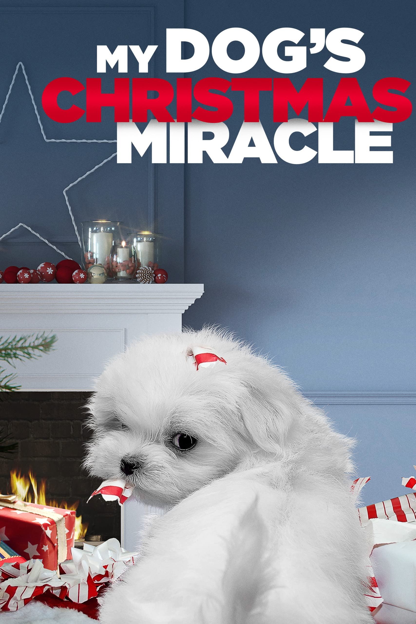 My Dog's Christmas Miracle