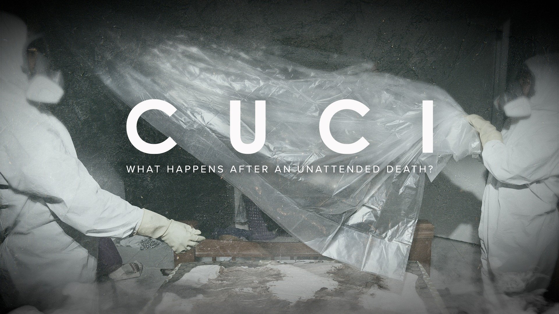 Cuci