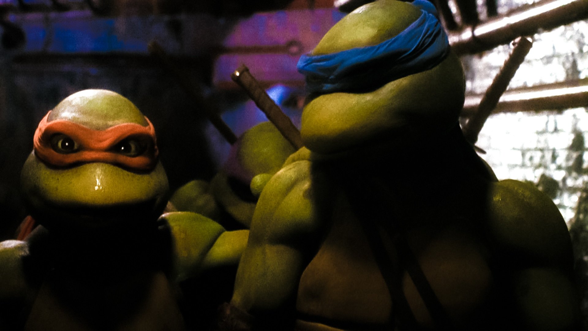 Image du film Les Tortues Ninja p9hiyetey49qvwhif1yzudll467jpg