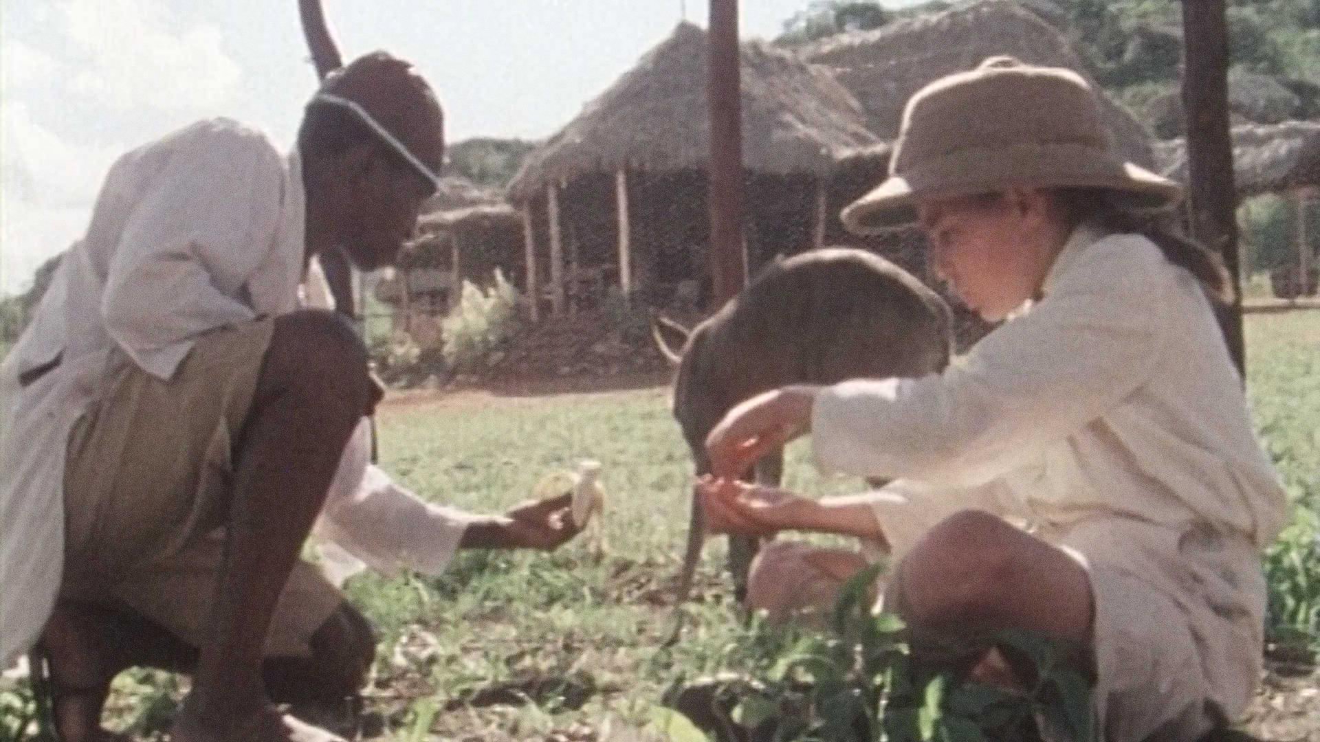 Episode 6