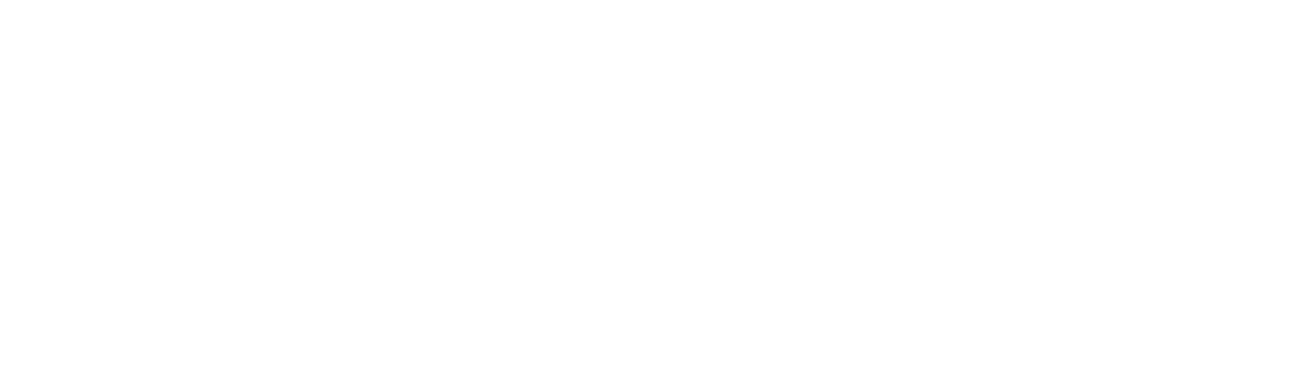 Zorro