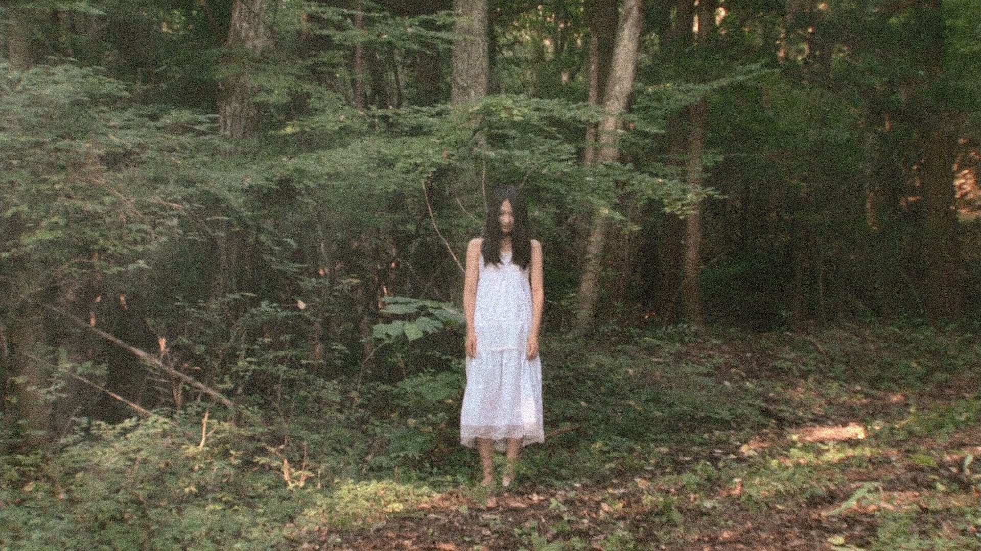 Kune Kune backdrop cover