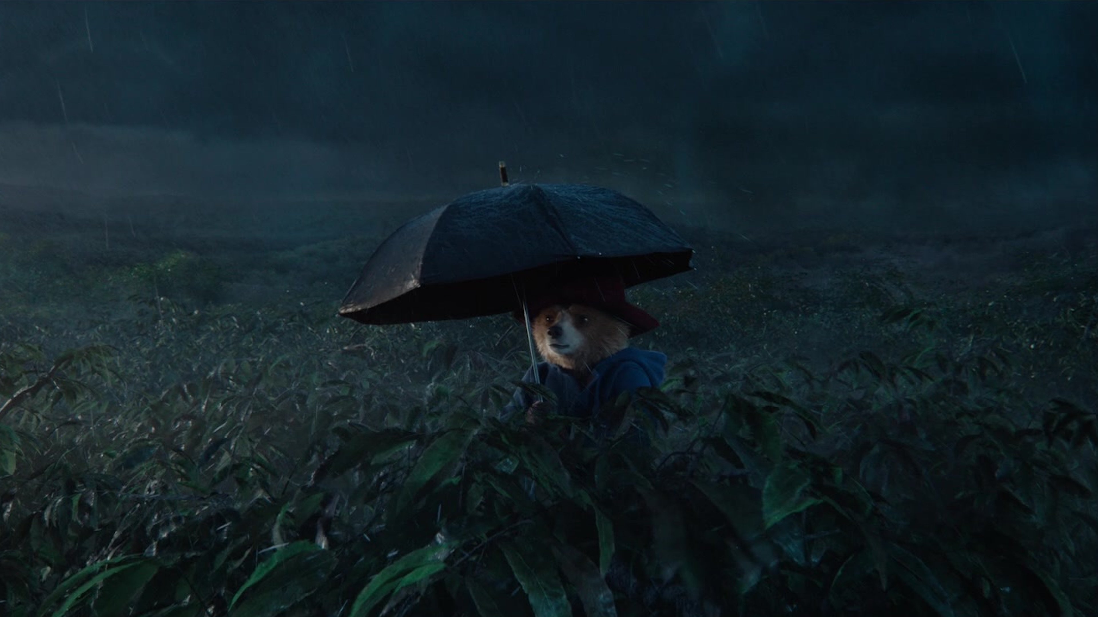 Paddington in Peru