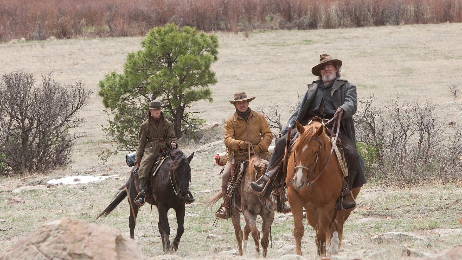 True Grit (2010)