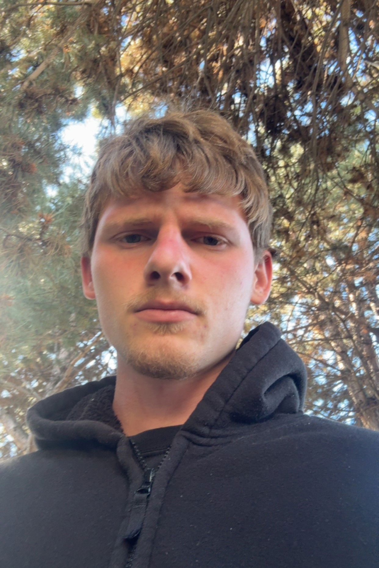 et billede af Seth Tomasevich