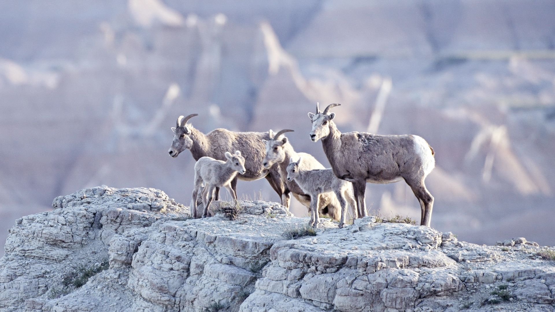America's National Parks