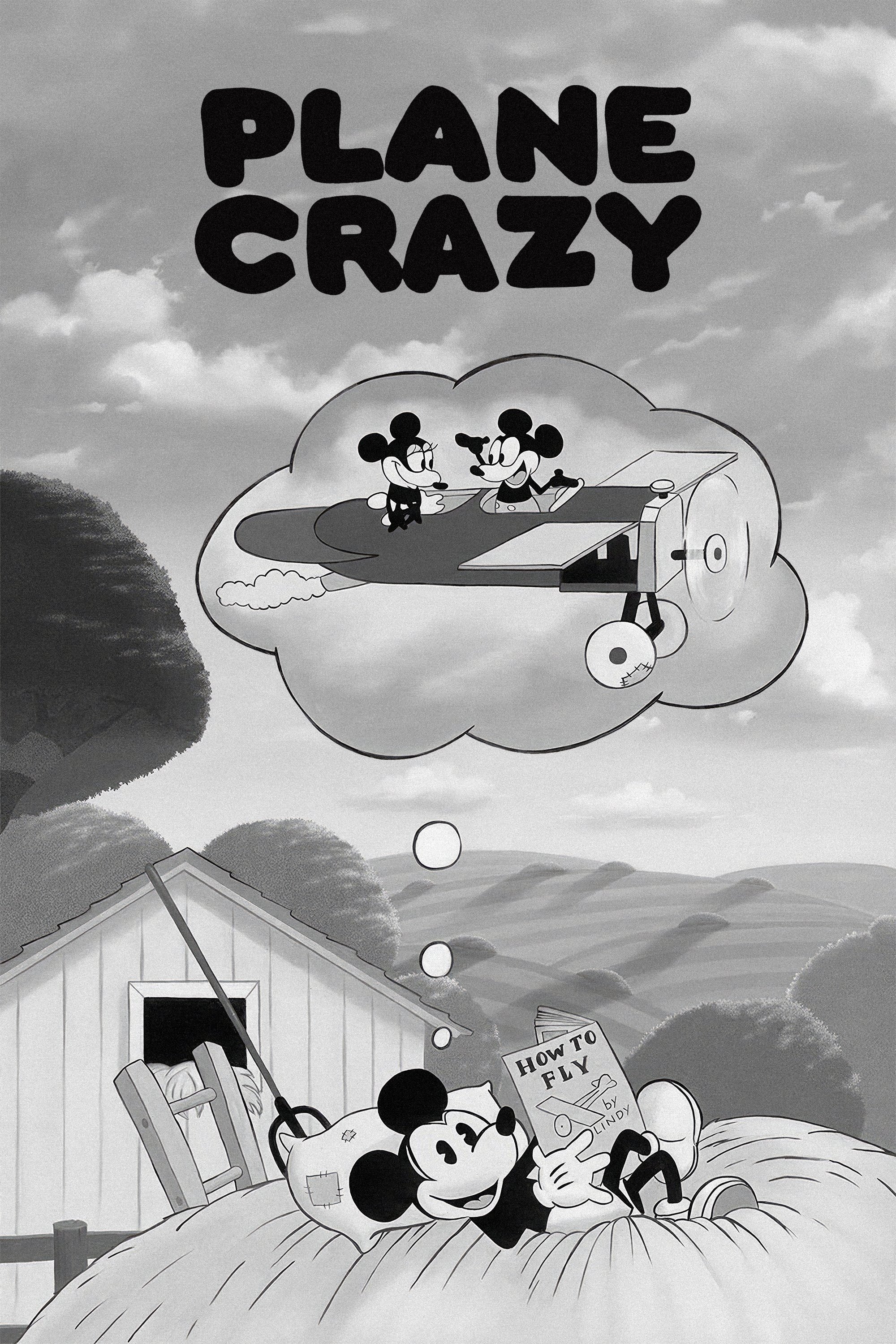 Plane Crazy