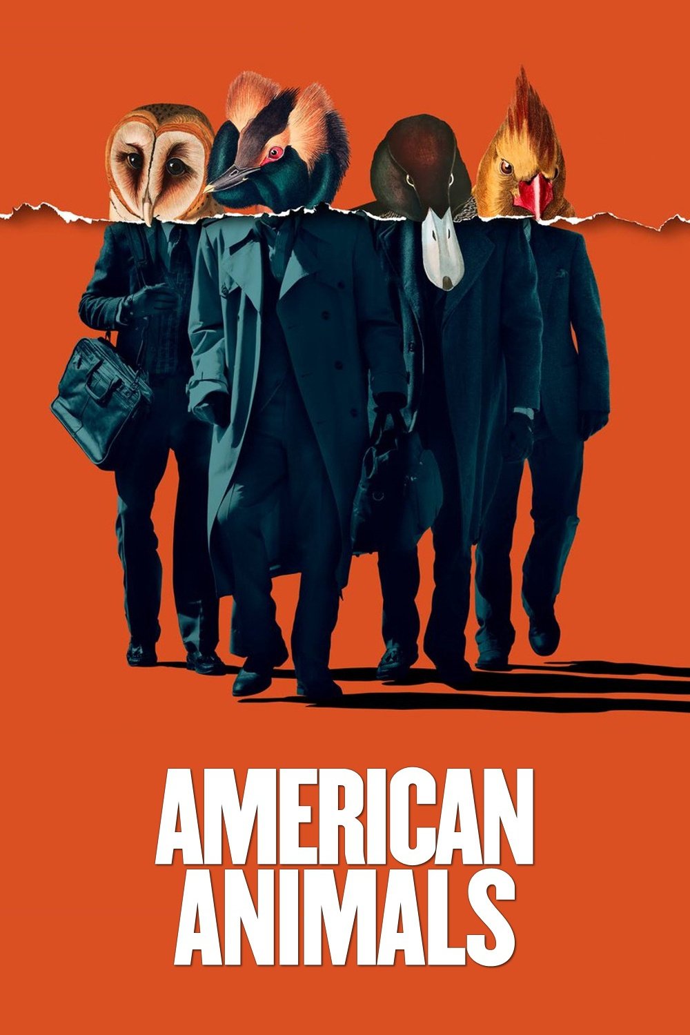 American Animals