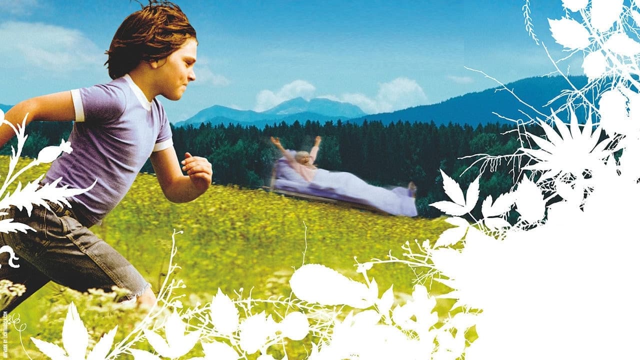 沉重的决定 (2006)