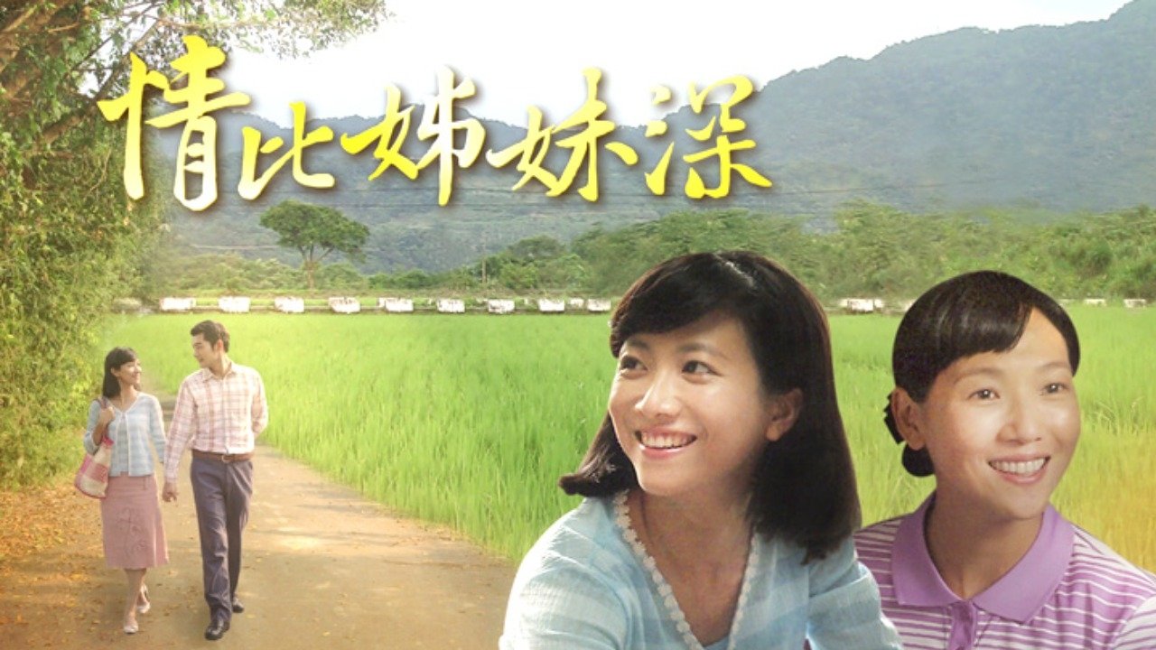 情比姊妹深 poster