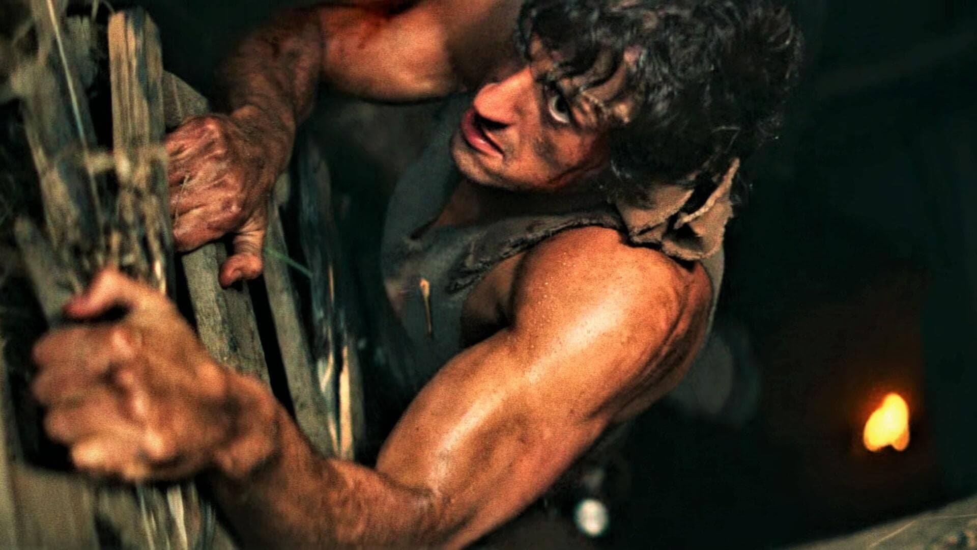 Image du film Rambo : First Blood pebhojt2jidlmznhrplcps28j5bjpg