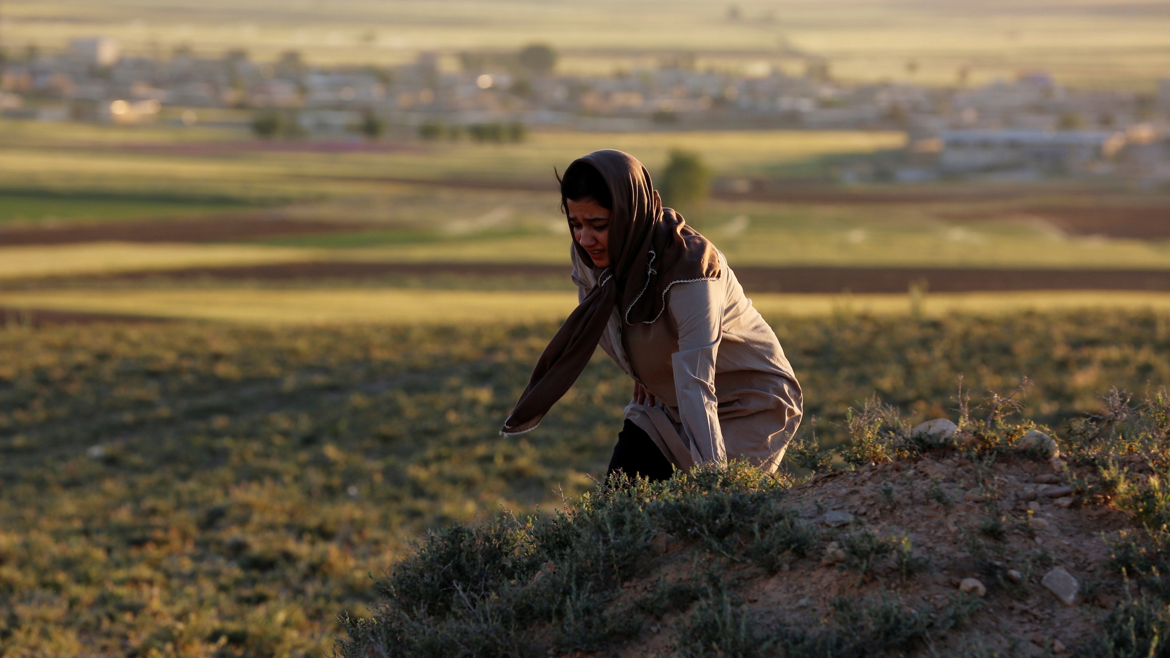 Attitude