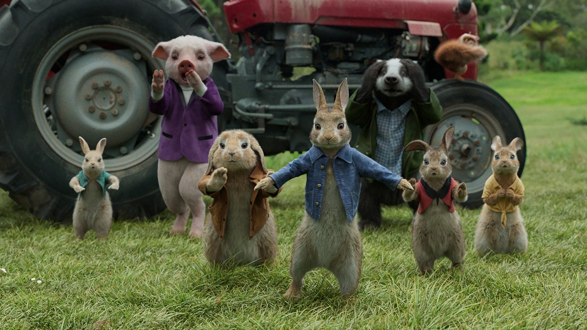 Image du film Pierre Lapin pfblytvl3fjekw3bkt6jphymojijpg