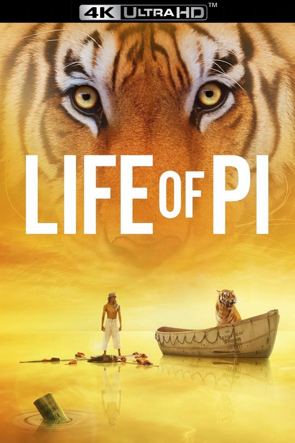 Life of Pi